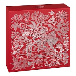 Déclaration - Coffret Eau de Toilette
