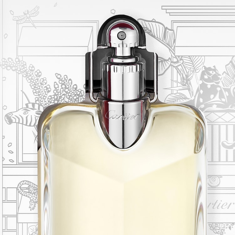 Déclaration - Coffret Eau de Toilette