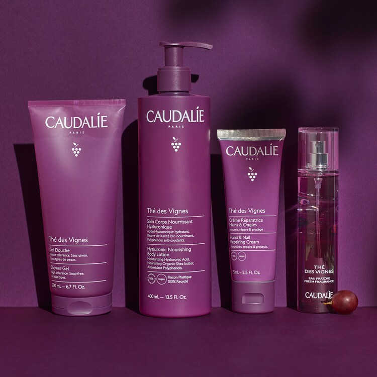 Thé des Vignes - Eau Fraîche 