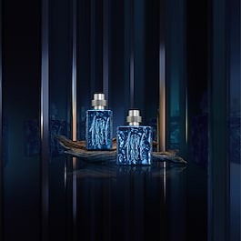 Cerruti 1881 Silver Night - Eau de parfum