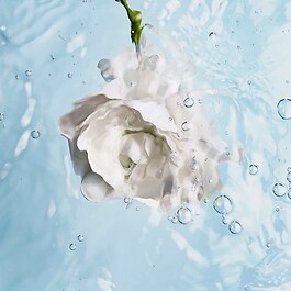 HYDRA BEAUTY MICRO SÉRUM - Feuchtigkeitsspendend Ausgleichend Aufpolsternd