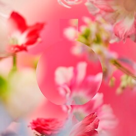 CHANCE EAU TENDRE -  Eau De Parfum