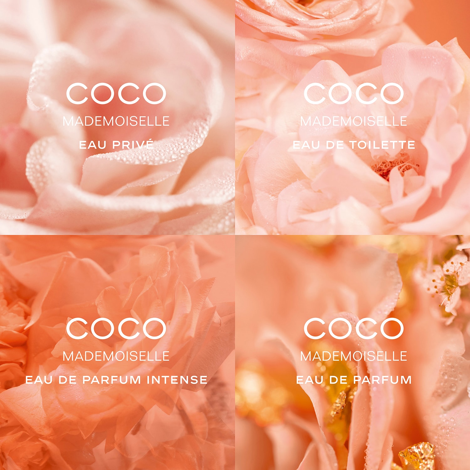 COCO MADEMOISELLE - Eau De Toilette ❘ CHANEL ≡ SEPHORA
