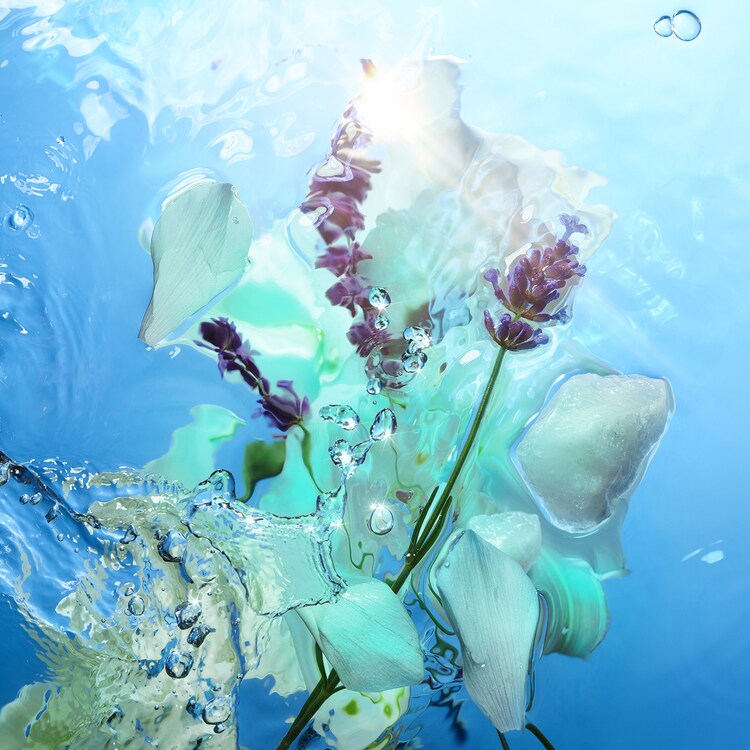 Calm Bliss - Fragrance Collection of Emotions