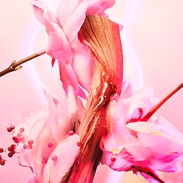 Love Frequency – Woda perfumowana