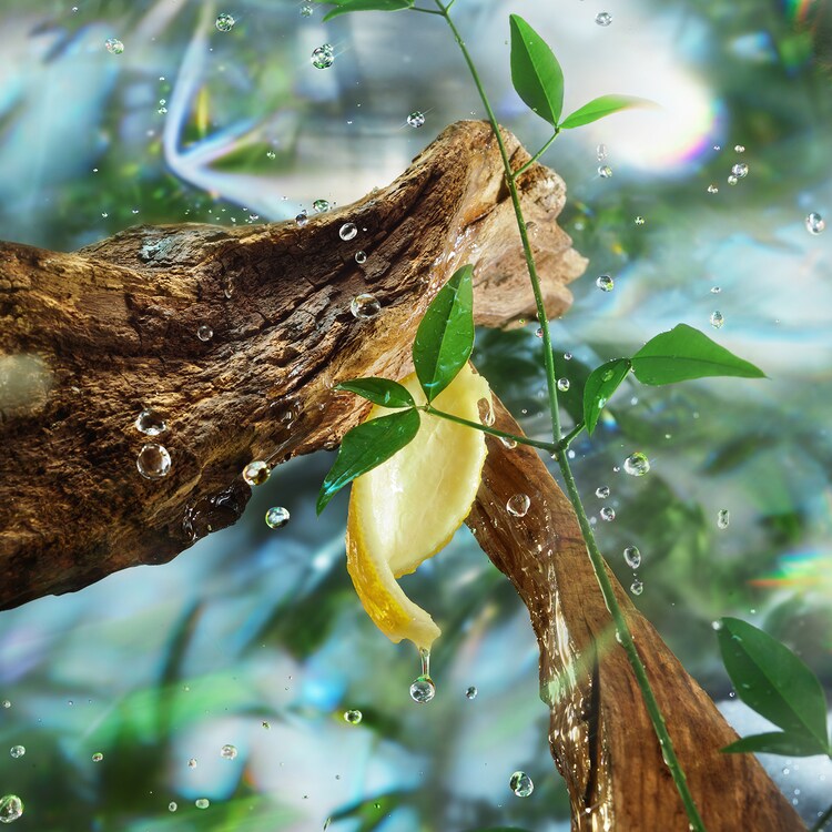 Magic Energy - Fragrance Collection of Emotions