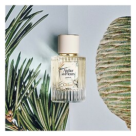 Atelier des Fleurs Cedrus - Eau de Parfum Edition Limitée
