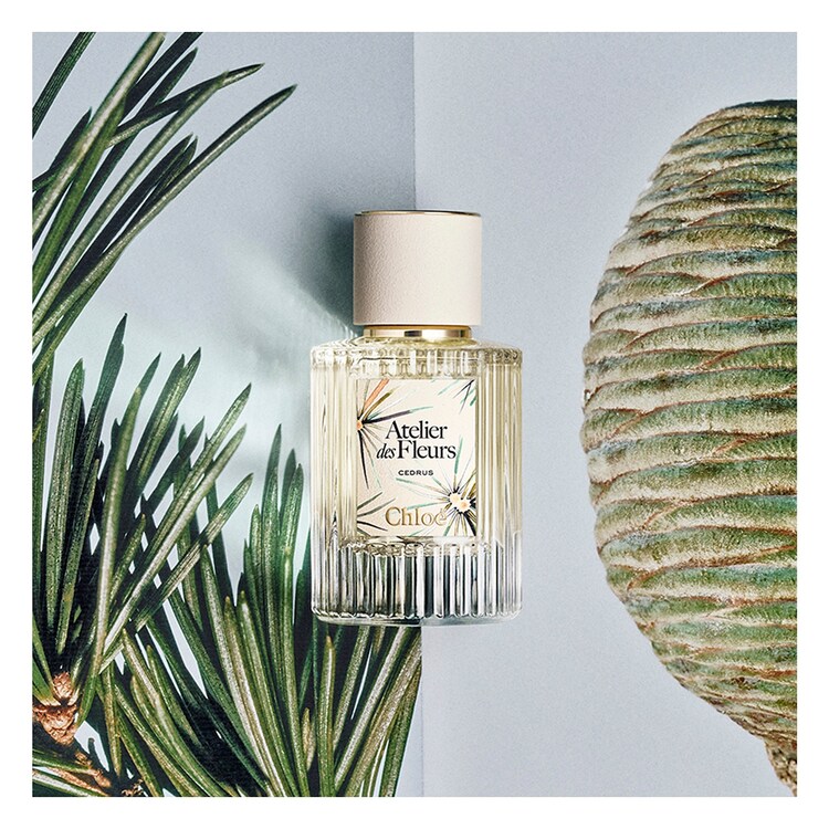 Atelier des Fleurs Cedrus - Eau de Parfum Edition Limitée
