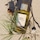 Atelier des Fleurs Sous les Pins - Eau de Parfum