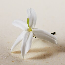 Atelier des Fleurs Jasminum Sambac - Woda perfumowana