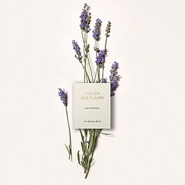 Chloé Atelier des Fleurs Lavanda - Woda perfumowana