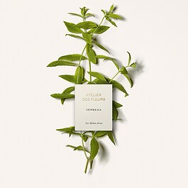 Atelier des Fleurs Verbena - Woda perfumowana