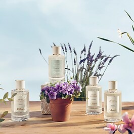 Atelier des Fleurs Verbena - Woda perfumowana