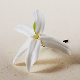 Atelier des Fleurs Jasminum Sambac - Woda perfumowana
