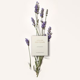 Chloé Atelier des Fleurs Lavanda - Woda perfumowana