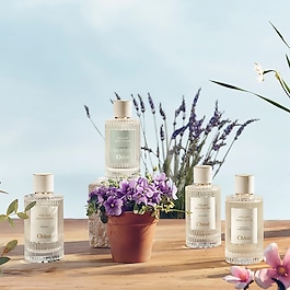 Chloé Atelier des Fleurs Lavanda - Woda perfumowana