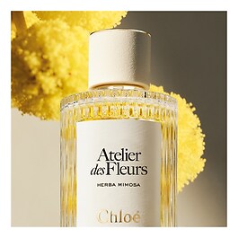 Atelier des Fleurs Herba Mimosa - Woda perfumowana