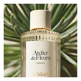 Chloé Atelier des Fleur Cedrus – Woda Perfumowana