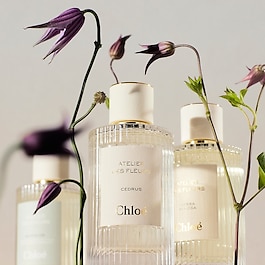 Chloé Atelier des Fleur Cedrus – Woda Perfumowana