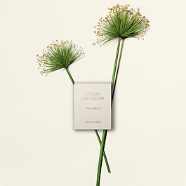 Chloé Atelier des Fleurs Papyrus - Woda perfumowana