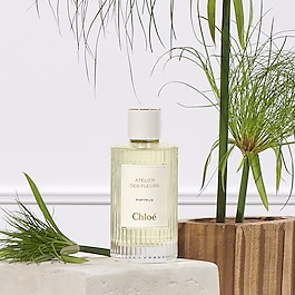 Chloé Atelier des Fleurs Papyrus - Woda perfumowana