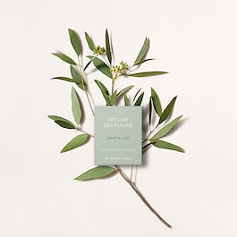 Chloé Atelier des Fleurs Santalum - Woda perfumowana