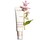 Calm Essentiel Emulsion - Emulze