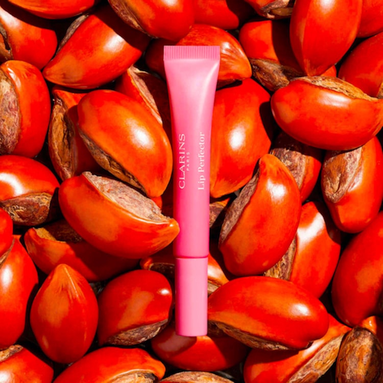 Lip Perfector - Embellisseur de Lèvres - Gloss lèvres et joues