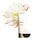La Mousse Douce Nettoyante -  Nettoyant visage