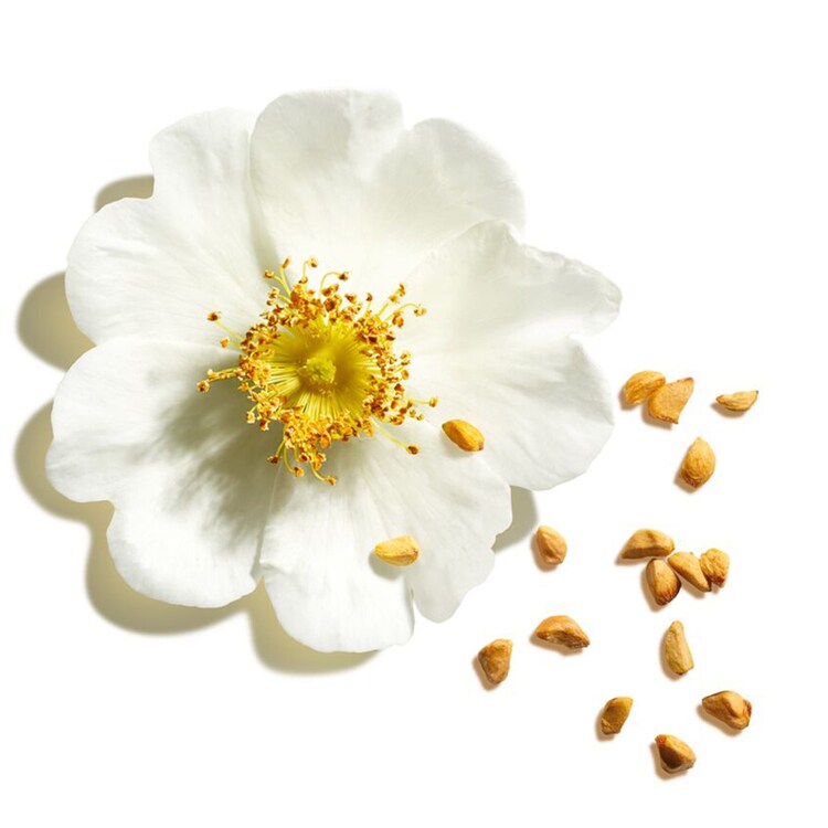 Joli Rouge - Rossetto satinato, la fusione perfetta tra colore e trattamento