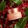 Clr Extra Firming  Night Cream All Skin Types