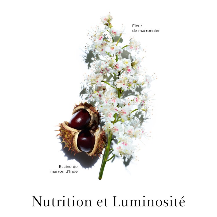Nutri-Lumière Nuit - Creme de noite restaurador intenso