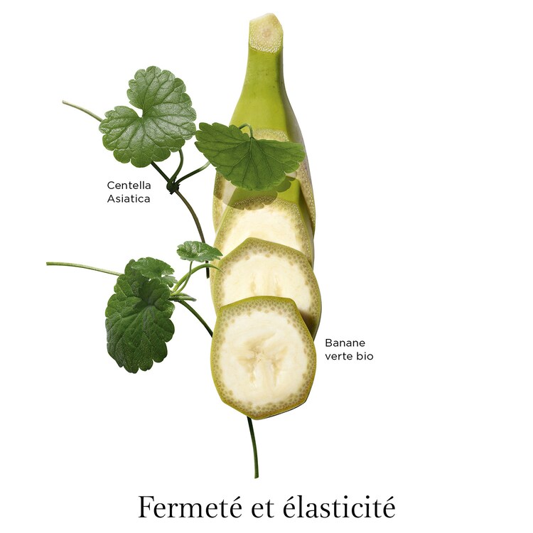 Body Partner - Expert Vergetures