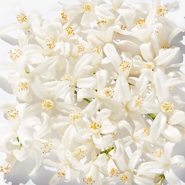 My Happy™ Baby Bouquet - parfum de dama