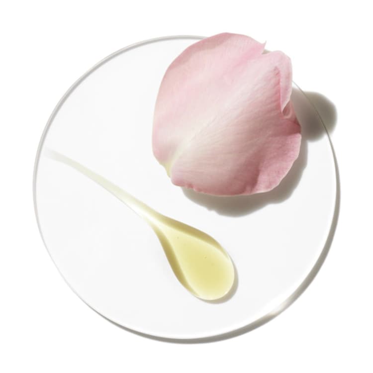 Aromatics Elixir - Eau de Parfum