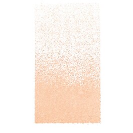 Blended Puder mit Pinsel