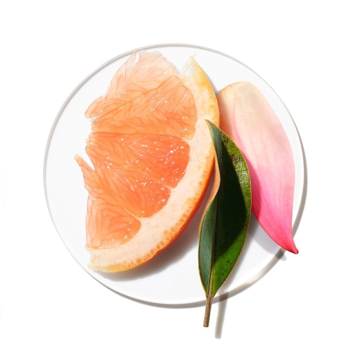 Découvrir le produit