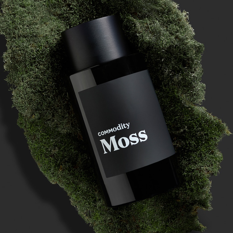 Moss Expressive - Parfum