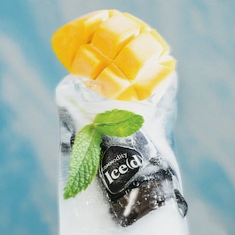 Ice(d) Expressive - Fragrance