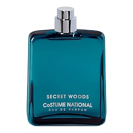 Homme Secret Wood - Eau de Parfum image