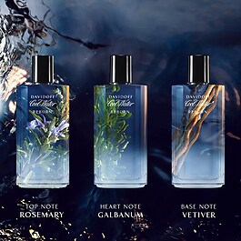 DAVIDOFF CW The New Cool - Eau de Toilette