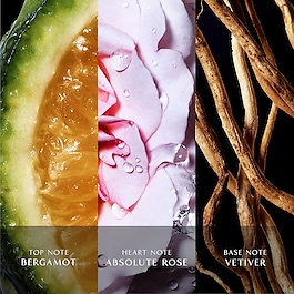 Cool Water Reborn Women - Eau de Toilette