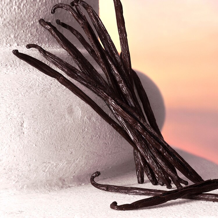 Devotion - Eau de Parfum Intense