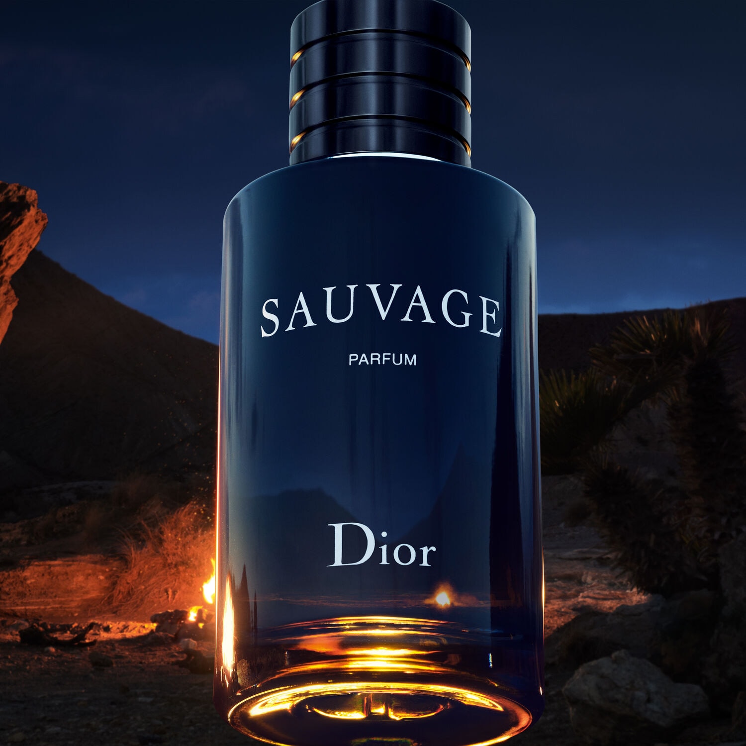 Dior Sauvage Parfum (30ml, 60ml, 100ml, 200ml, 300ml Refill