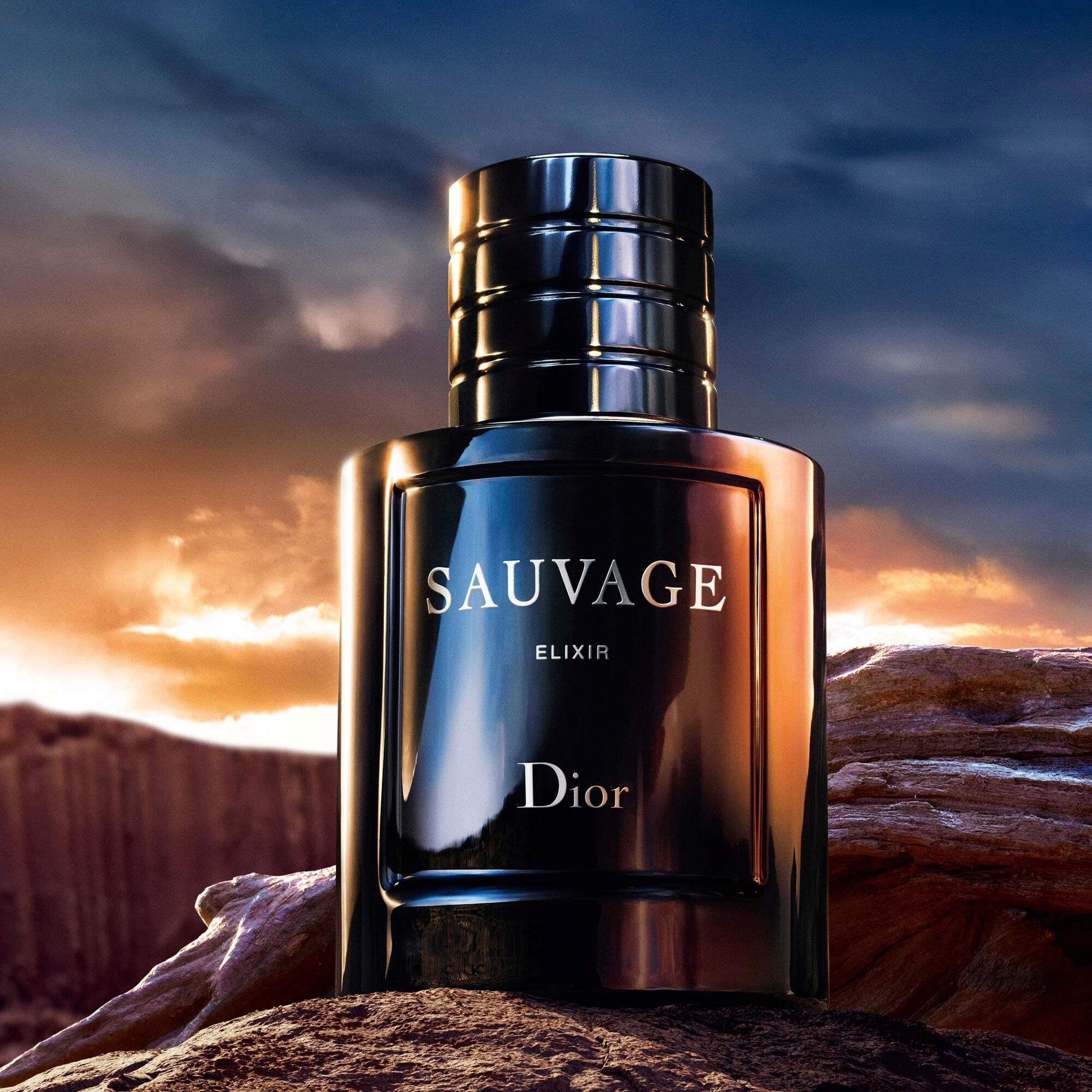 Sauvage Elixir i DIOR (60 ml, 100 ml) ≡ SEPHORA