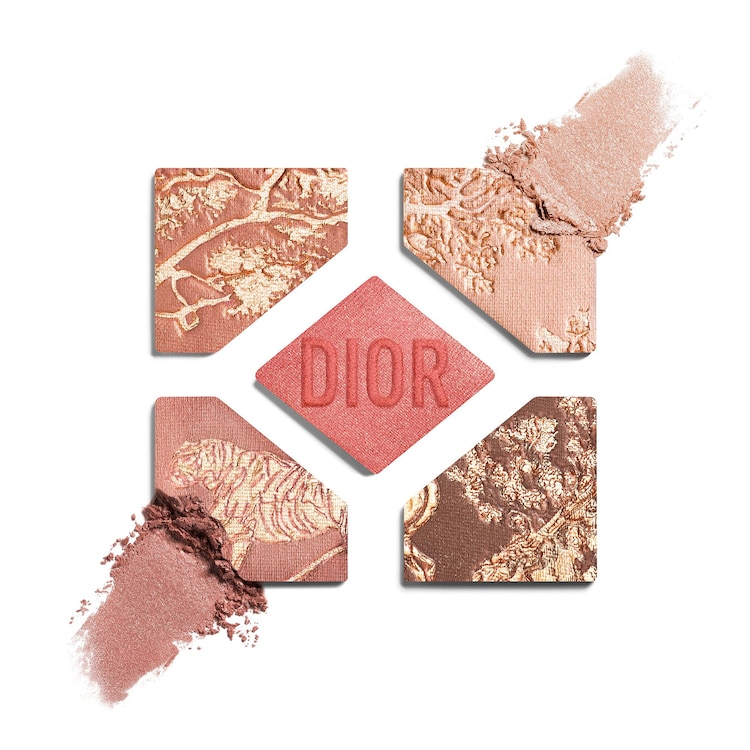 Diorshow 5 Couleurs limitierte Edition – Farbintensive Lidschatten