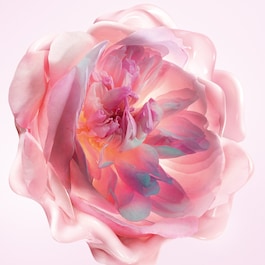 Miss Dior Melt-In Hand Cream &ndash; Parf&eacute;movan&yacute; hydratačn&iacute; kr&eacute;m na ruce