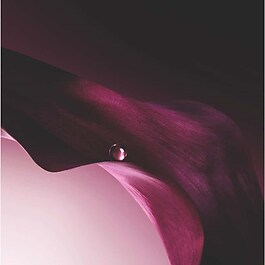 Capture Totale Serum-Lotion - Leistungsstarke Anti-Aging-Gesichtspflege