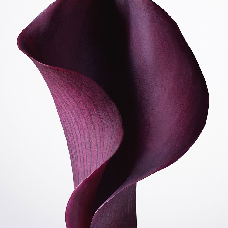 Capture Totale Super Potent Rich Creme - Crème riche anti-âge baume réparateur