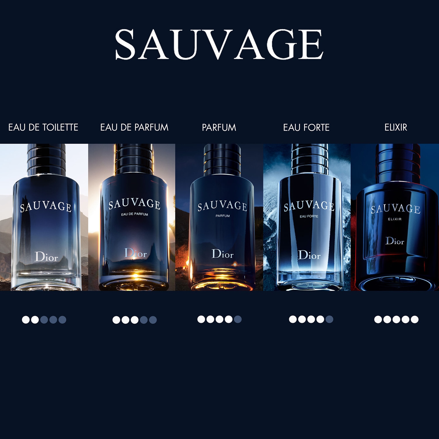 Sauvage Elixir i DIOR (60 ml, 100 ml) ≡ SEPHORA